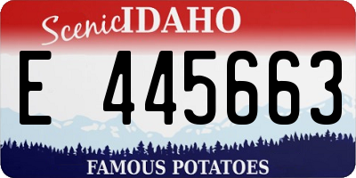 ID license plate E445663