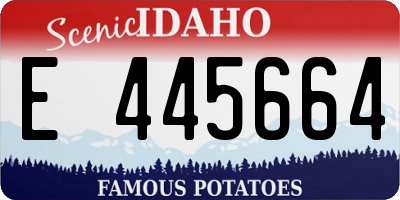 ID license plate E445664