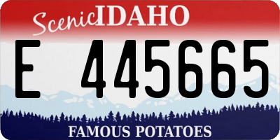 ID license plate E445665