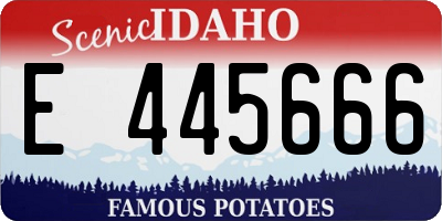 ID license plate E445666