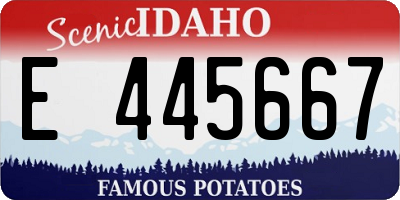 ID license plate E445667