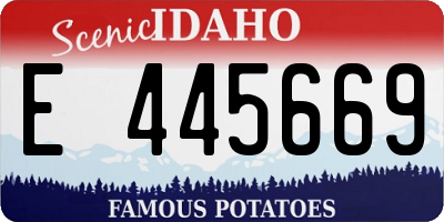 ID license plate E445669
