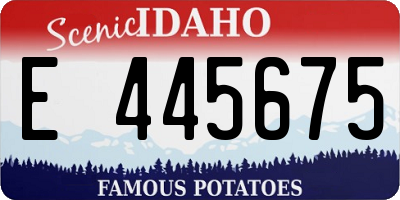 ID license plate E445675