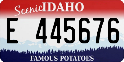 ID license plate E445676