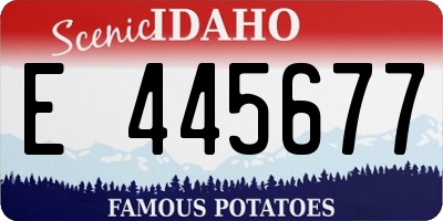 ID license plate E445677