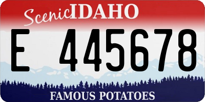ID license plate E445678