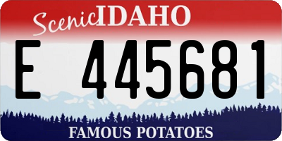 ID license plate E445681