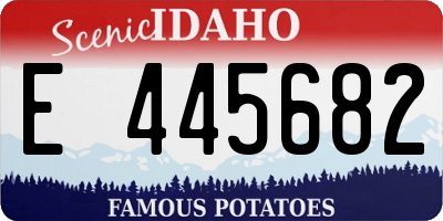 ID license plate E445682