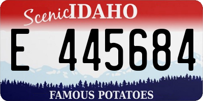 ID license plate E445684