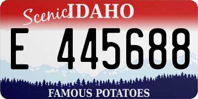 ID license plate E445688