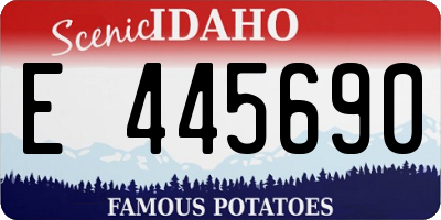 ID license plate E445690