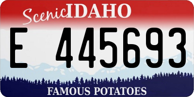 ID license plate E445693