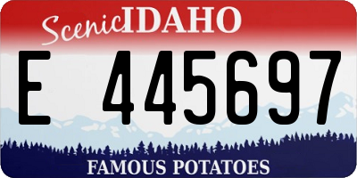 ID license plate E445697