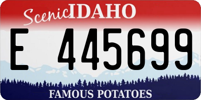 ID license plate E445699