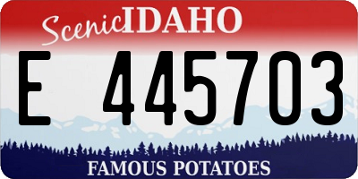 ID license plate E445703