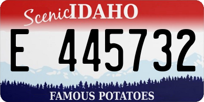 ID license plate E445732