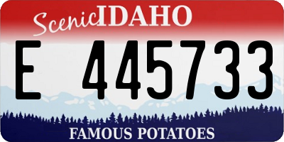 ID license plate E445733