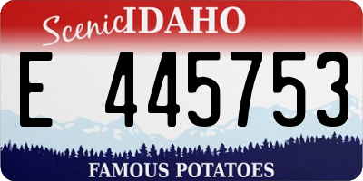 ID license plate E445753