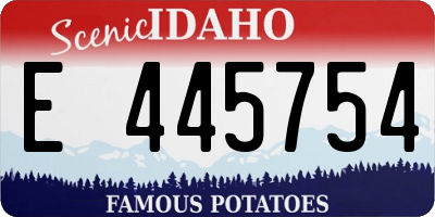 ID license plate E445754