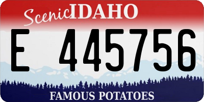 ID license plate E445756