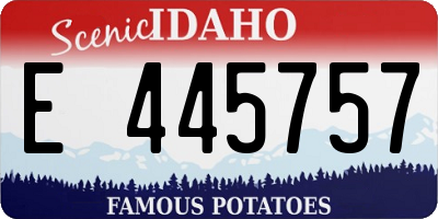 ID license plate E445757