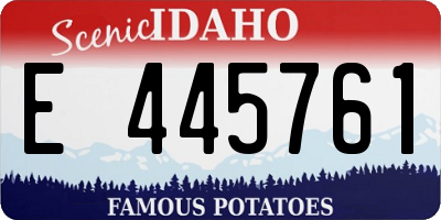 ID license plate E445761