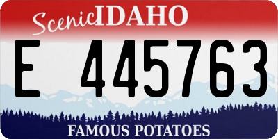 ID license plate E445763
