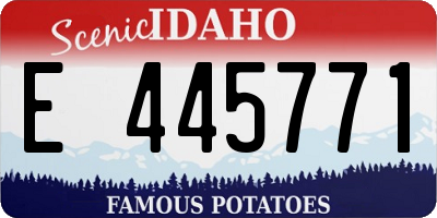 ID license plate E445771