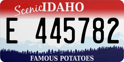 ID license plate E445782