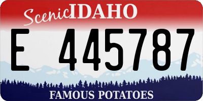 ID license plate E445787