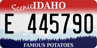 ID license plate E445790