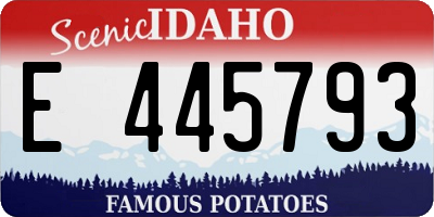 ID license plate E445793