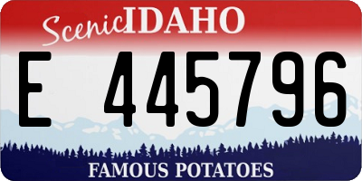 ID license plate E445796