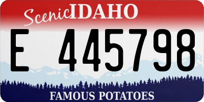 ID license plate E445798