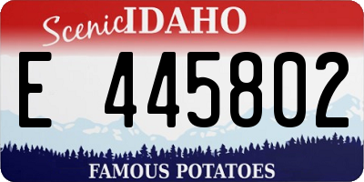 ID license plate E445802