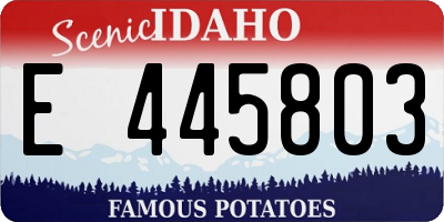 ID license plate E445803