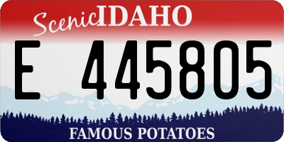 ID license plate E445805