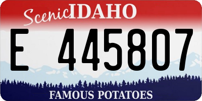 ID license plate E445807