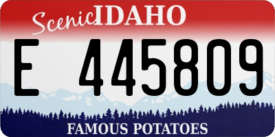 ID license plate E445809