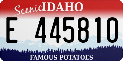 ID license plate E445810