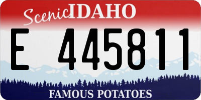 ID license plate E445811