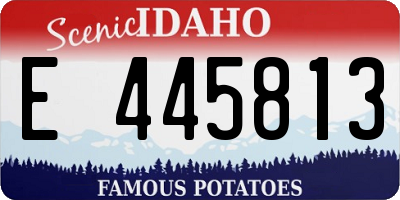 ID license plate E445813