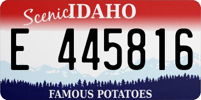 ID license plate E445816