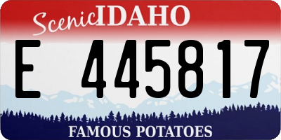 ID license plate E445817