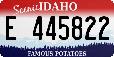 ID license plate E445822