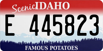 ID license plate E445823