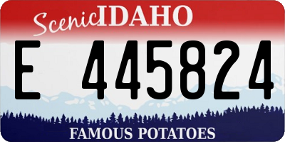 ID license plate E445824
