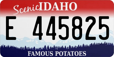 ID license plate E445825