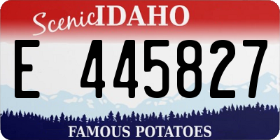 ID license plate E445827