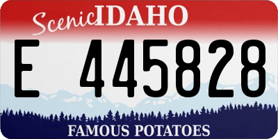 ID license plate E445828